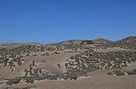 Lokalita Nazca to San Juan de Marcona GPS193 Peru_Chile 2014_0366.jpg